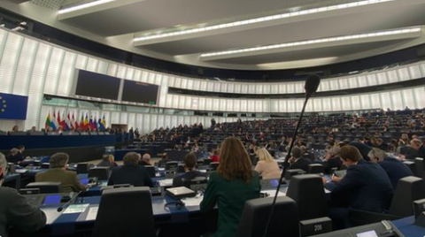 Sesión del Parlamento europeo  /   Imagen: @Jorgebuxade