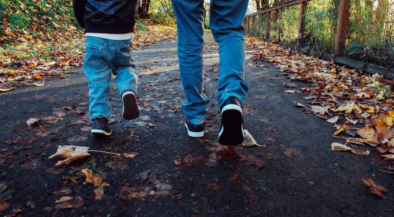 [Img #19491]