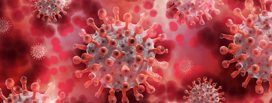 Una revisi&oacute;n cient&iacute;fica detecta se&ntilde;ales de aparici&oacute;n de diferentes tipos de c&aacute;ncer tras vacunaci&oacute;n Covid