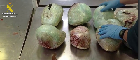 Laa Guardia Civil incauta a una pasajera et&iacute;ope 15 pangolines muertos en una maleta