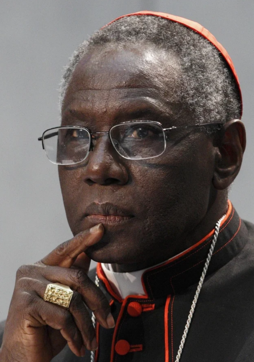 Cardenal Sarah: "Una civilizaci&oacute;n que renuncia a Dios termina renunciando a la vida"