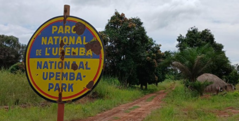 Una mujer fuerte, doscientos elefantes y una guerra que no cesa