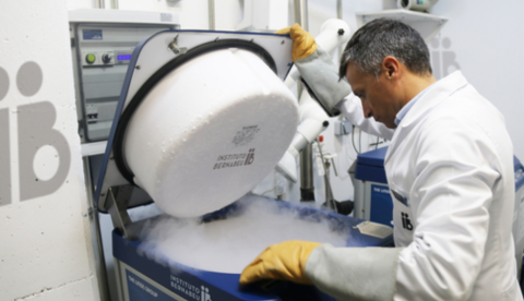 M&aacute;s de 100.000 embriones congelados est&aacute;n abandonados en Espa&ntilde;a