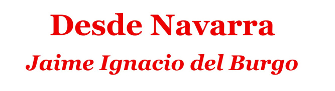 Jaime Ignacio del Burgo