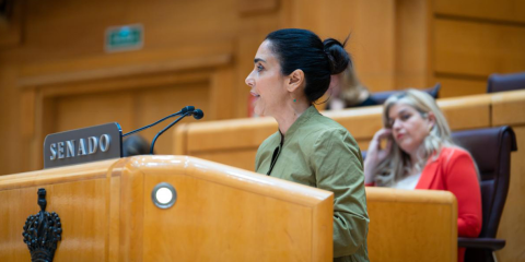 VOX: "Bildu no es un partido pol&iacute;tico al uso, es el brazo pol&iacute;tico de una estrategia criminal que nunca ha pedido perd&oacute;n"