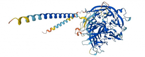 Fuente: sciencemediacentre.es