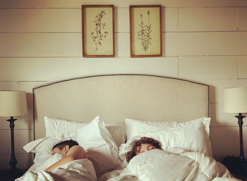 [Img #22584]