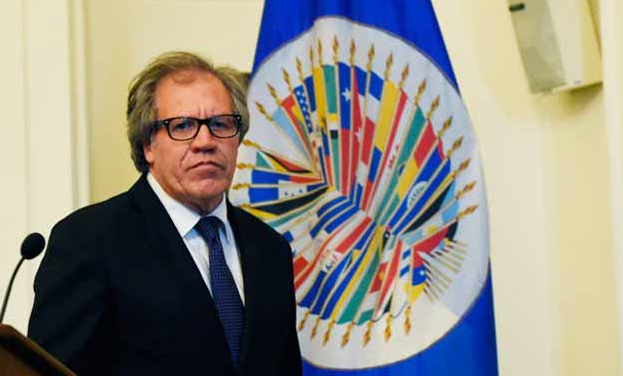 Luis Almagro   /   Imagen: AD