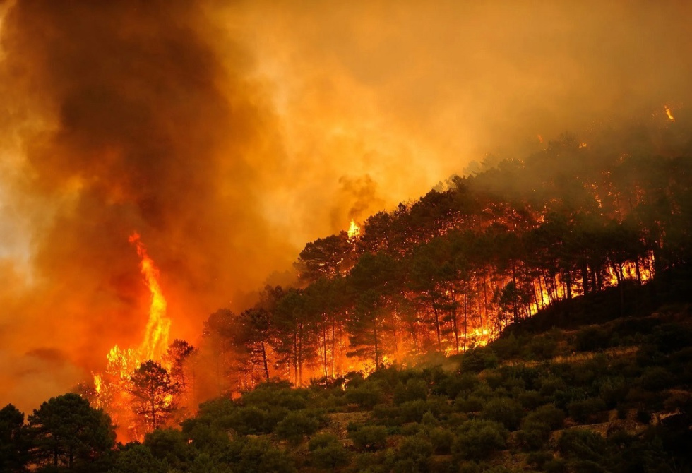 Incendio en España