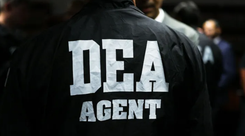 La DEA asesta su golpe más demoledor al Cártel de Sinaloa: 617 detenidos sacuden a la organizacvión criminal mexicana