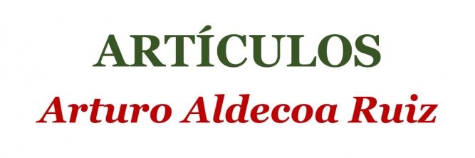 Arturo Aldecoa Ruiz