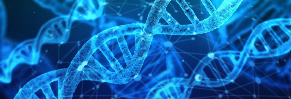 Los nuevos ingenieros de la vida: Silicon Valley y la carrera (prohibida) por crear al primer bebé genéticamente modificado y diseñado