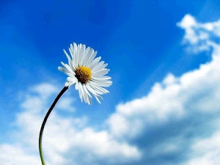 [Img #2935]
